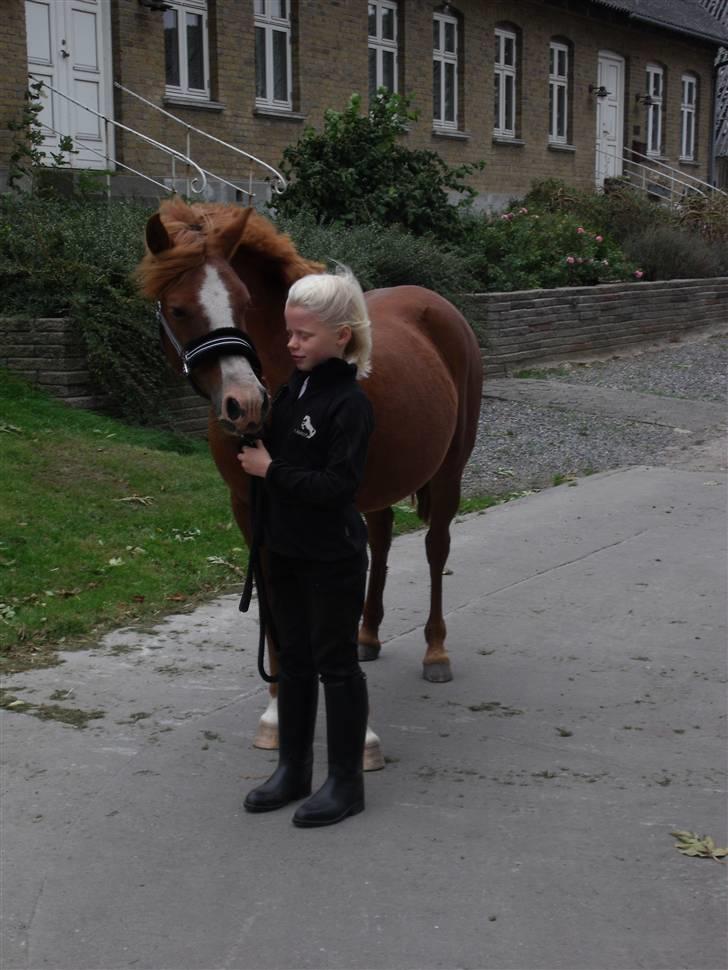 Anden særlig race Bella billede 1