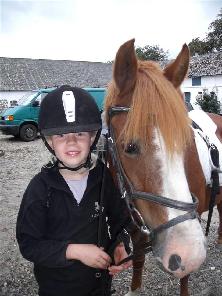 Anden særlig race Bella billede 2