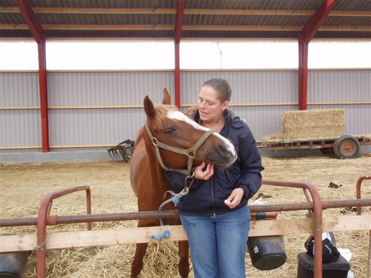 New Forest Soraya Solgt R.I.P - om nu meddet har du noget guf til mig???. billede 10