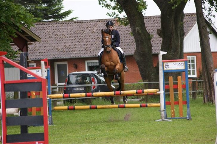 Anden særlig race San Diego - LD spring (: .. han springer bare meega højt over ;o  *Foto:Janine* billede 12