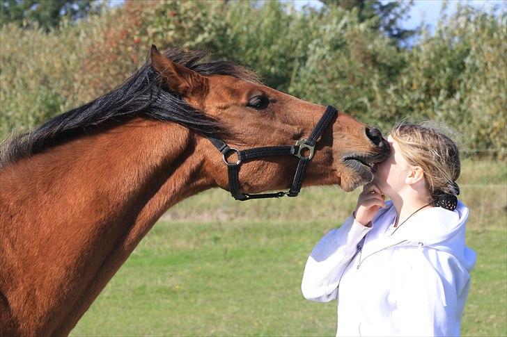 Anden særlig race San Diego - Jeg æder dig omomomom ! *Foto;Stine* billede 14