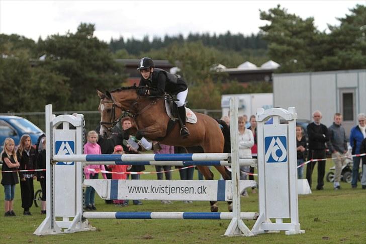 Welsh Cob (sec D) Zelma *SPRUNGET* - 115 cm på Hammel Hestemarked i;  Foto: Brian Sølvsten

År: 2010 billede 5