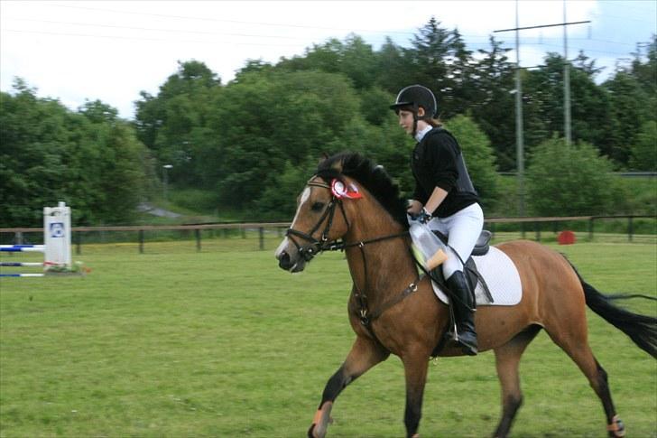 Welsh Cob (sec D) Zelma *SPRUNGET* - Stævne d. 19. juni 10 - første plads i LC´en :*  foto: Talle (L billede 7