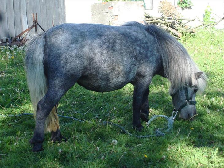 {{currentPhoto.altText}} billede {{currentPhoto.number}}