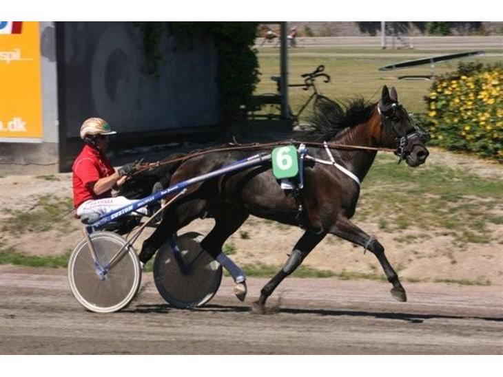 {{currentPhoto.altText}} billede {{currentPhoto.number}}