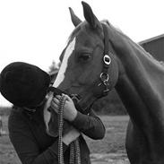 Anden særlig race schamrock (†09)