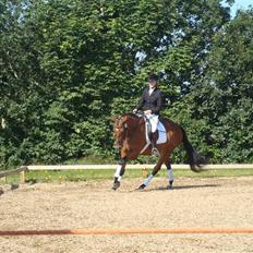 Oldenborg Sanddallunds paloma