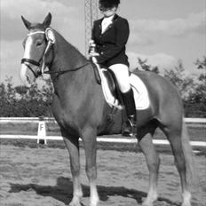 Anden særlig race Cabbano Sunlight*givet bort<3*