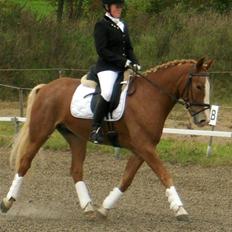 Anden særlig race Cabbano Sunlight*givet bort<3*