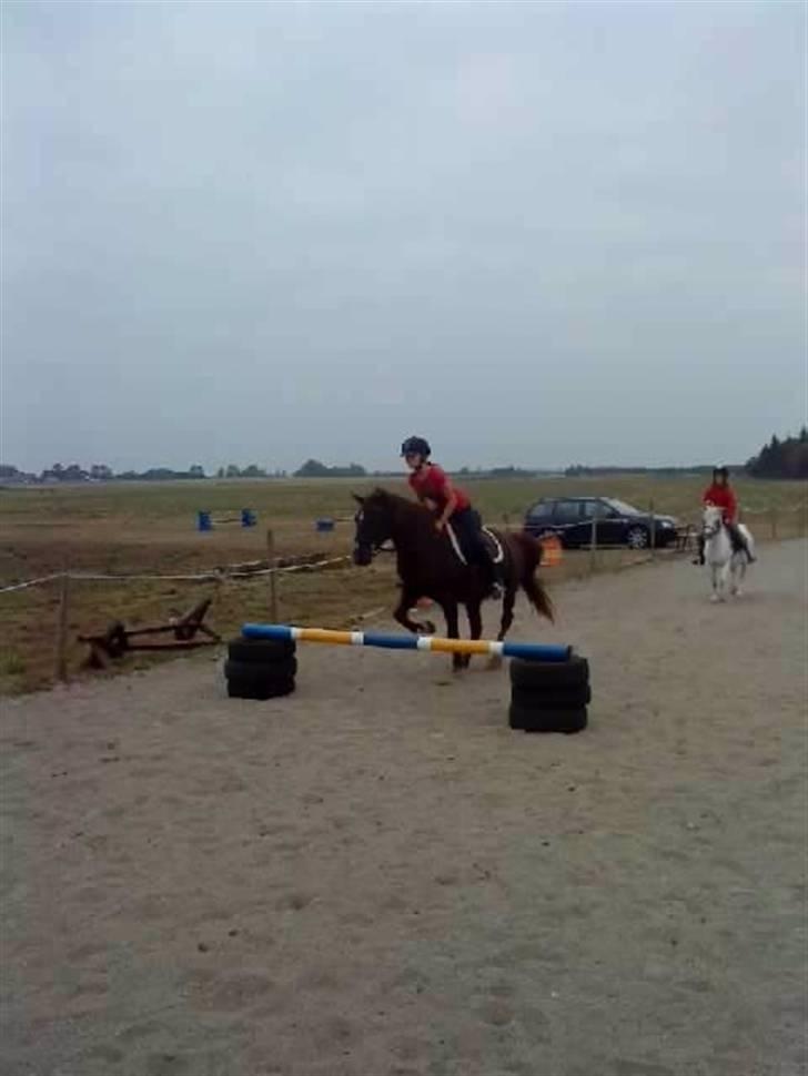 Anden særlig race Miss trixie bell  - Spring opvarmning :) billede 11