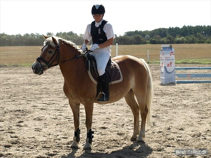 Haflinger Wonder - 15. Derby, præmie overrækkelse :) Vi fik en 2. plads :D // Malou. billede 15