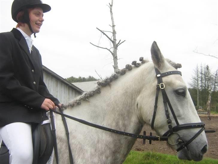 Anden særlig race Rakhan , klubmester 2010  - mig og Rakhan venter på vi kan komme på banen :D billede 16