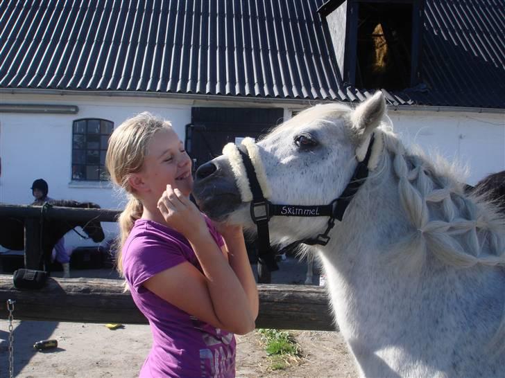 Anden særlig race Skimmel †  miss you † - 8) Må jeg få det du har i hånden? Foto: Nanna  billede 8