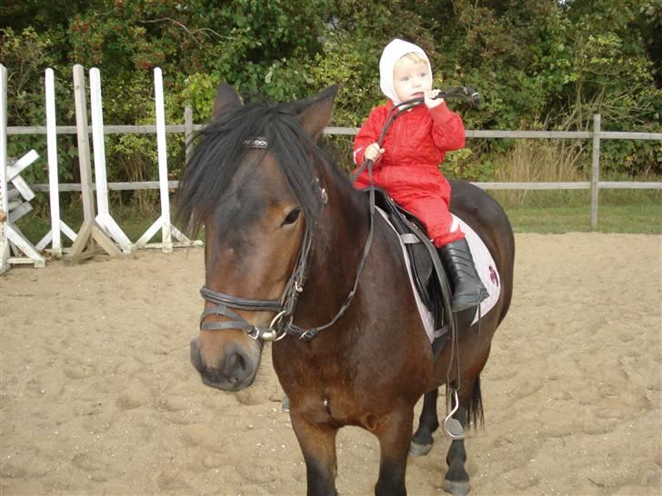 Anden særlig race Magnum.. - Er det sadan her mor man skal gøre :0)) billede 13