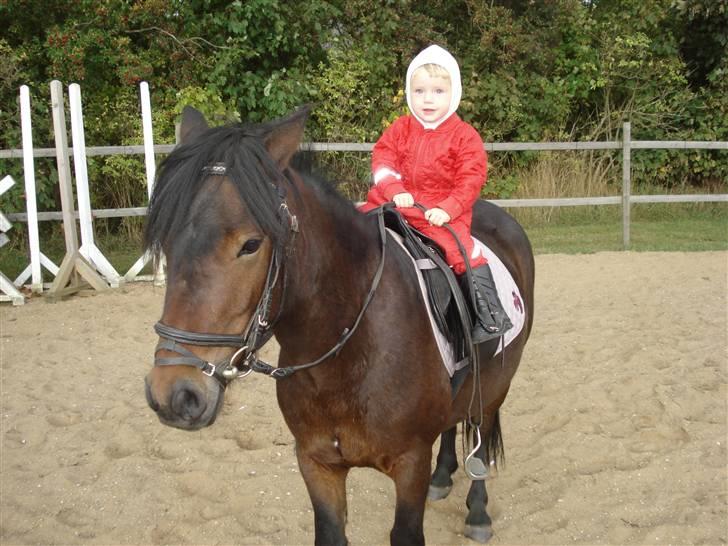Anden særlig race Magnum.. - Nu er jeg klar til en tur mere.. billede 14