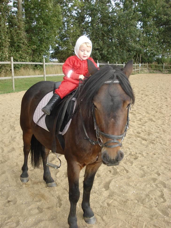 Anden særlig race Magnum.. - Han skal lige have et lille klap.. billede 15