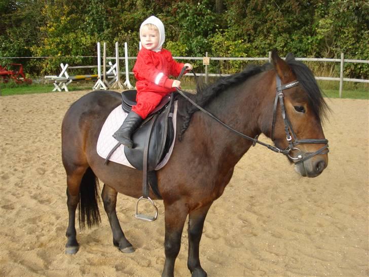 Anden særlig race Magnum.. - Mormor og Morfar se hvor sej jeg er :0)) billede 16