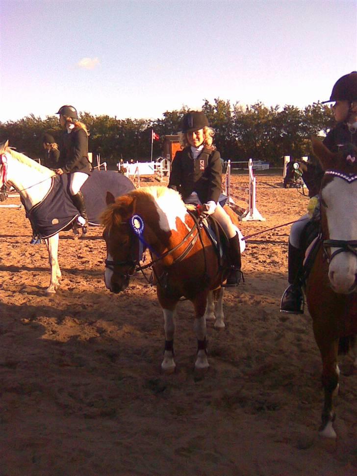 Anden særlig race Aloha Tahiti..<3 Lånt:)<3 - Mig & Aloha Tahiti til præmieoverrækkelse til NIBECUP 2009 fik en super flot 2. Plads.. elsker dig så meget Tahiti!(;<3. billede 20