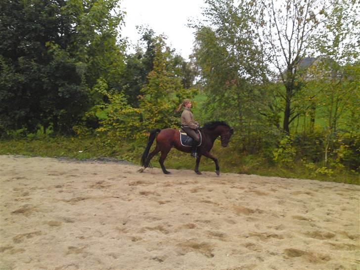 DSP Ambrosius A.M. SOLGT :(  billede 14