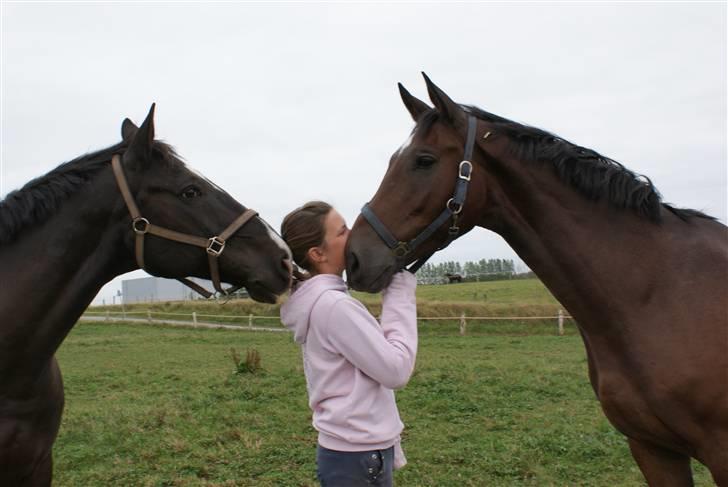 Anden særlig race Milton - Mille og Diablo. Bill er taget af Rikke Beck billede 11