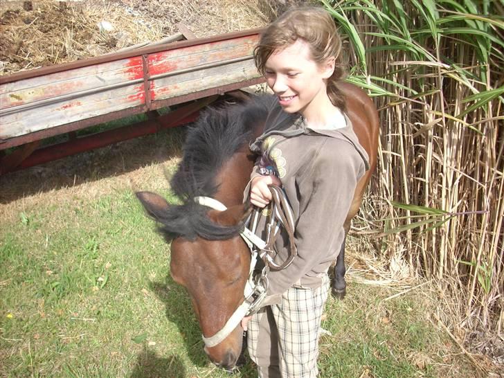 Anden særlig race Starlight * tidl passer * - Den lille grovæder tænker kun på græs.. billede 3