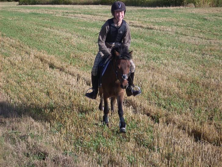 Anden særlig race Starlight * tidl passer * - Jubiiiiiiiii. STUBMARKER! billede 4