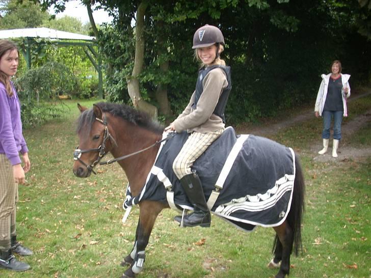 Anden særlig race Starlight * tidl passer * - Min søster Laura skulle lige prøve noget... XD billede 7