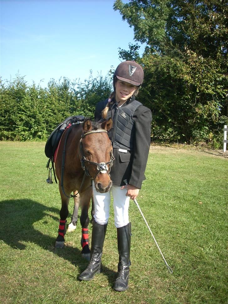 Anden særlig race Starlight * tidl passer * - Til stævne i MLR :P billede 8