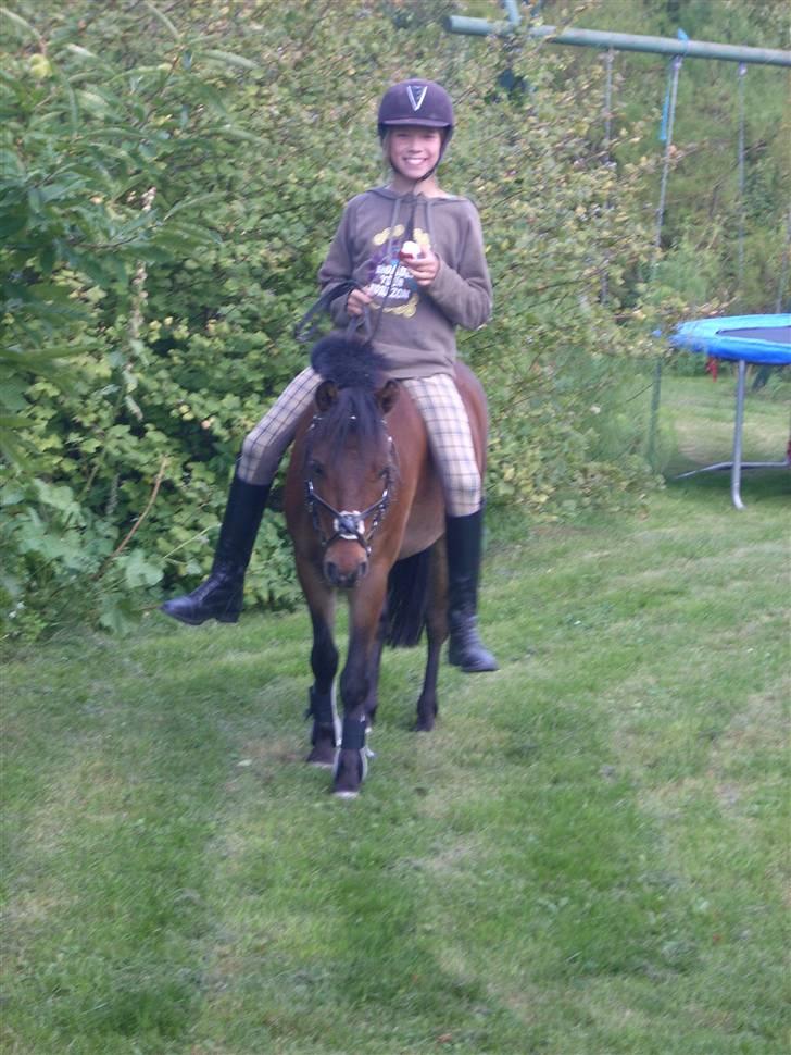 Anden særlig race Starlight * tidl passer * - I haven ;) billede 9