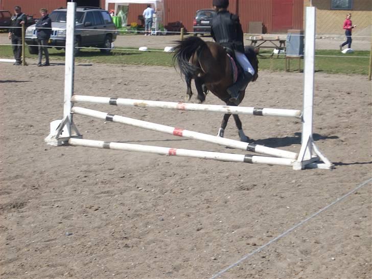 Anden særlig race Starlight * tidl passer * - når enden er godt, er alting godt xD billede 13