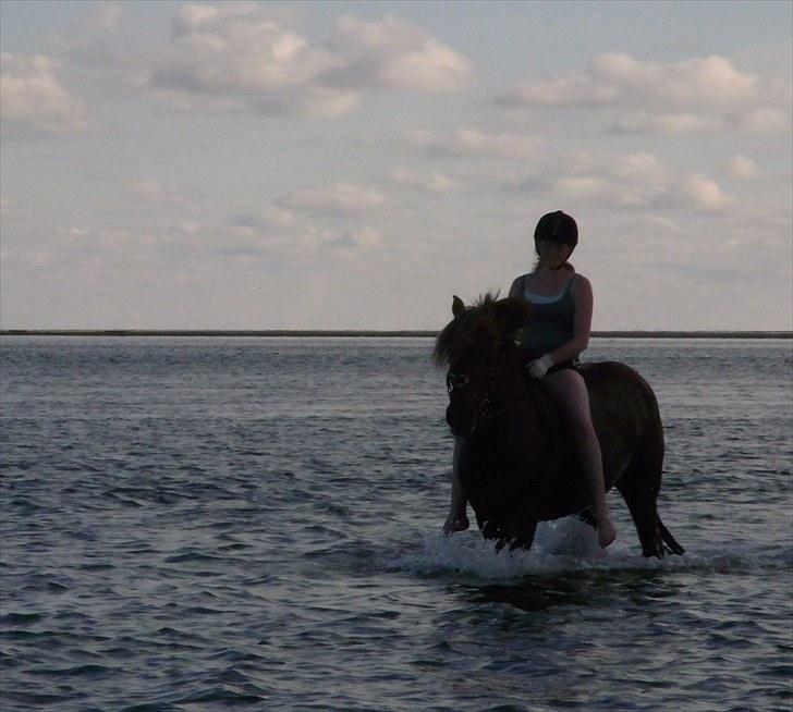 Anden særlig race Barcardi - Barcardi og miqq<3  billede 5