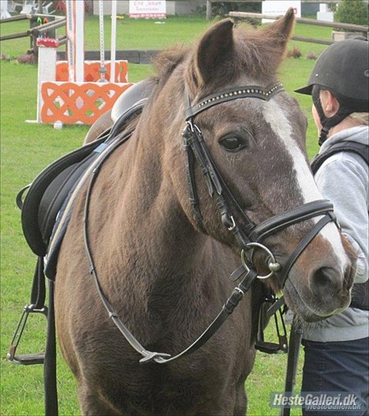 Anden særlig race Mimmi <`3 (SOLGT) - Velkommen til min pony ``Mimmi Læg en kommentar og en bedemelse. billede 1