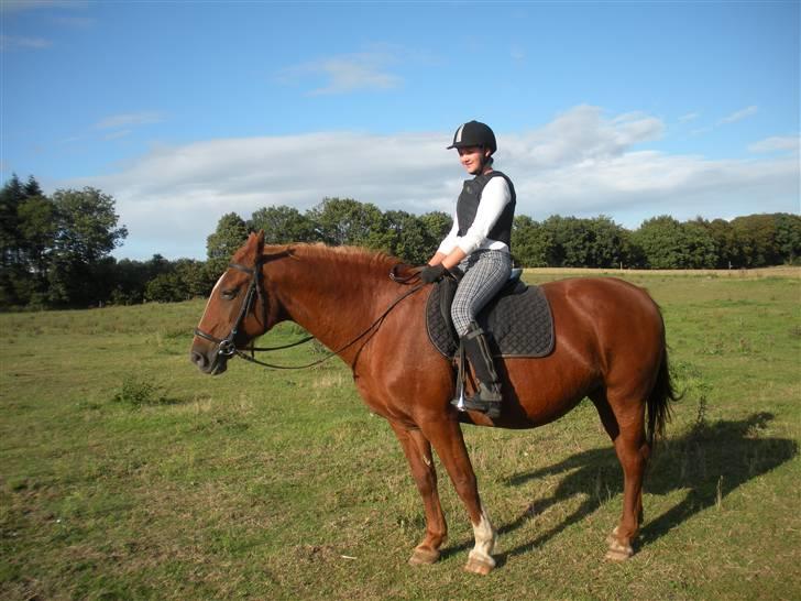 Frederiksborg Signe Lysdal - Hmm, parade! ej okay.. :P billede 9