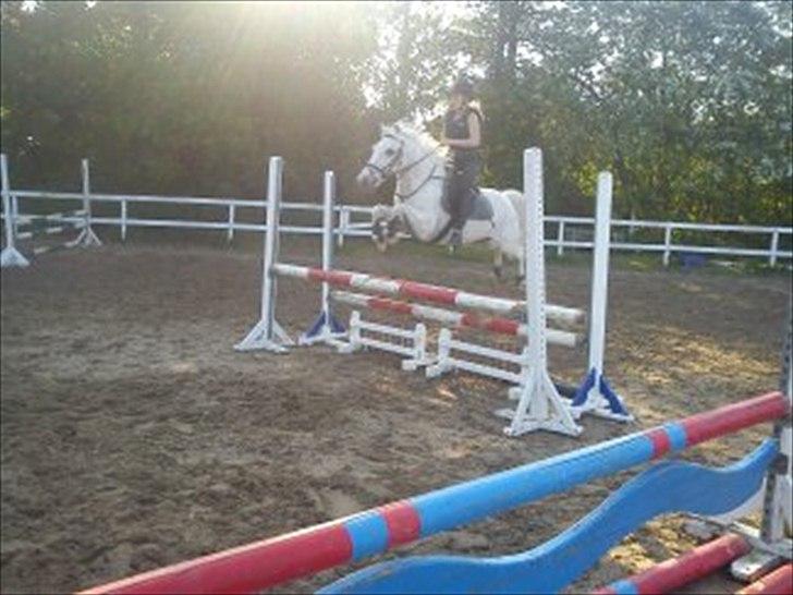 Anden særlig race Maxi - haha :D billede 7