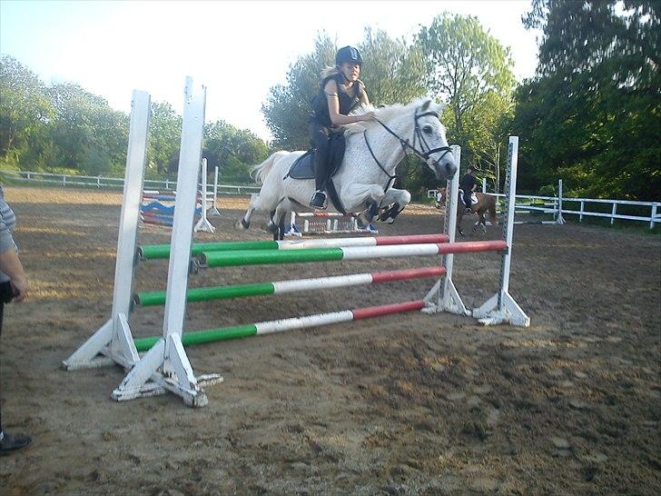 Anden særlig race Maxi billede 10