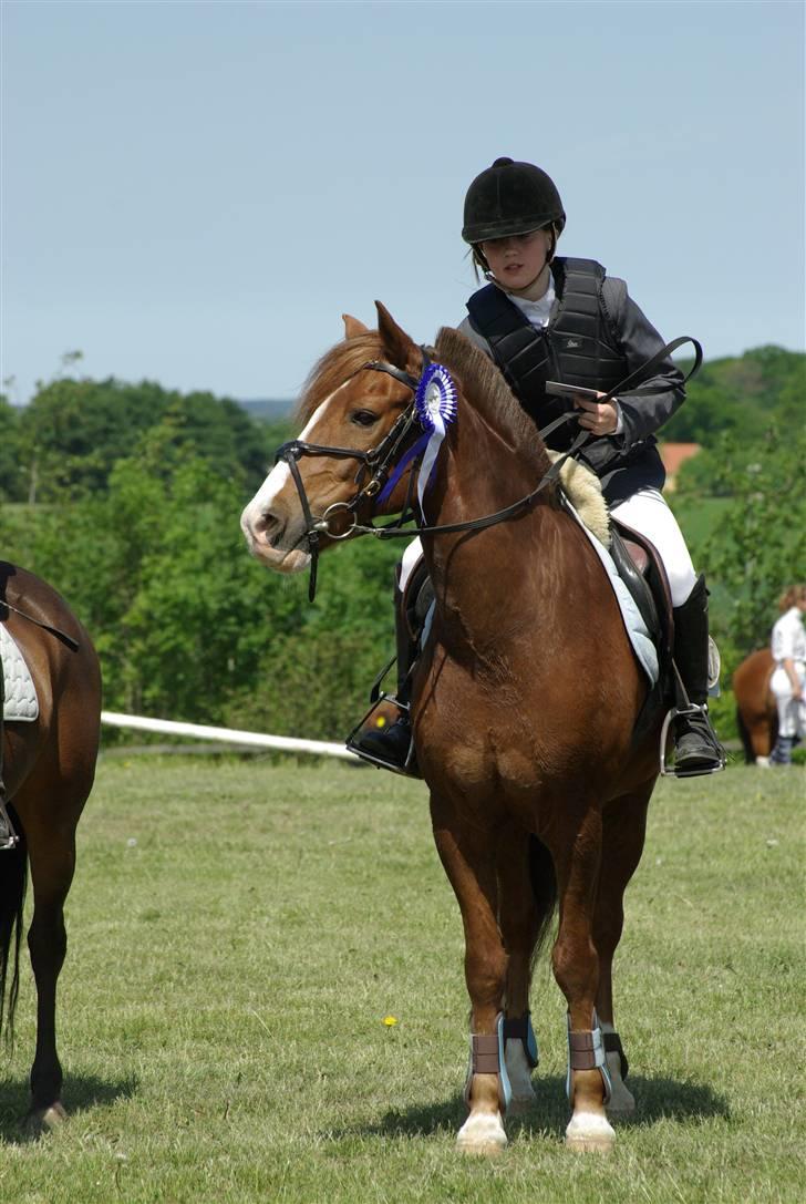 Anden særlig race AN-DRO - du min<3 billede 17