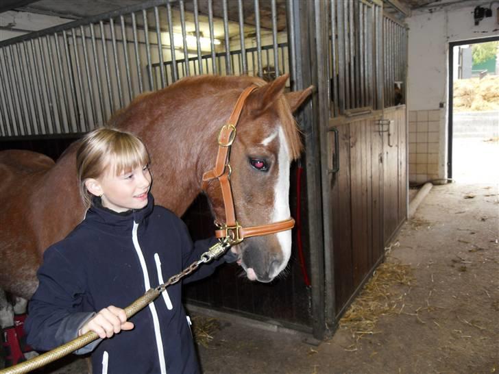 Anden særlig race Mr. Robbie - solgt - Første gang på staldgangen  billede 6