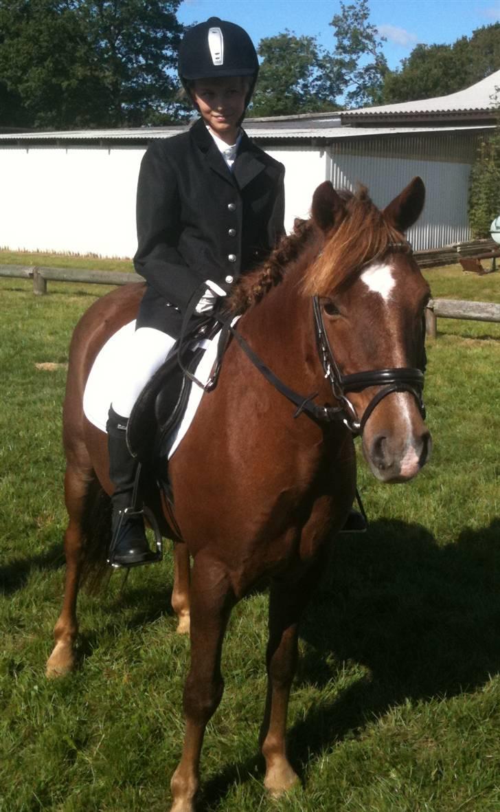 Anden særlig race Lucas - Stævne Møllebjerg 12. & 13. september 2009 billede 6