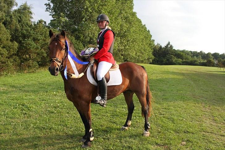 Welsh Cob (sec D) Gribvads Leading Silver - Distriktmesterskab indv. 2010 2 plads :) billede 14