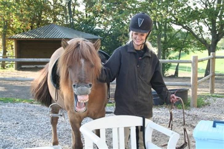 Islænder Ofeigur fra Tyvekrogen - jeg ved ikke hvem der smiler mest? :) billede 11