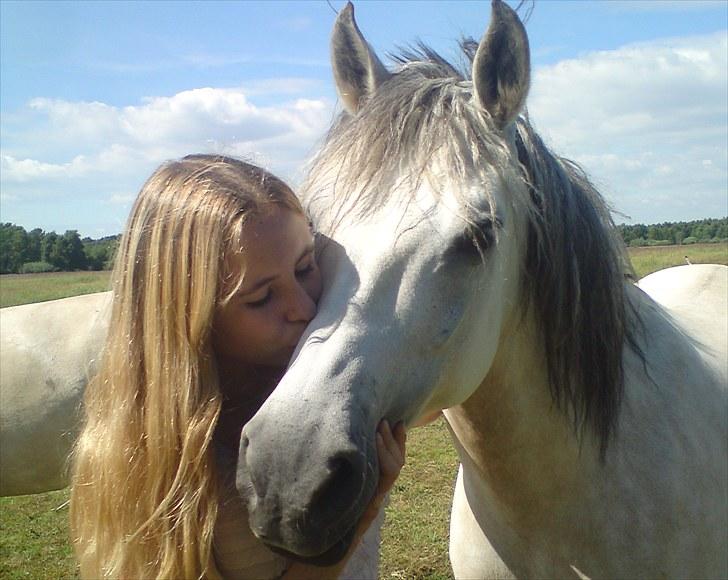 Fjordhest |Araber Pepsi *SOULMATE* - If theres a soulmate for everyone!<´3 Fotograf: Maja!<3 ;* billede 11