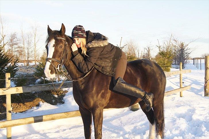 New Forest Igor | B-pony | Solgt - 02.01.2011 - hygge i sneen <3 billede 17