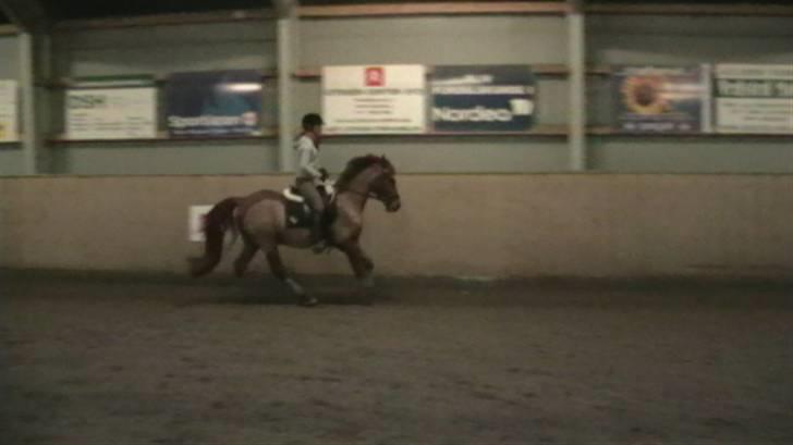 Anden særlig race Picasso billede 17