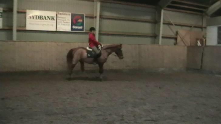 Anden særlig race Picasso billede 18