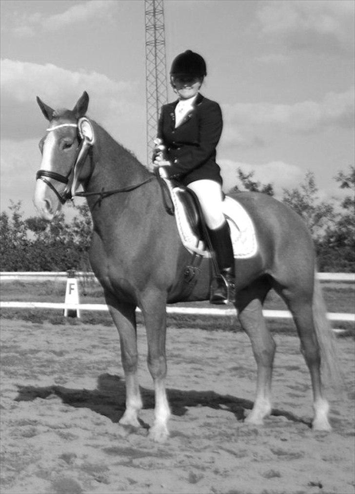 Anden særlig race Cabbano Sunlight*givet bort<3* - Velkommen til Rufus profil(:<3 billede 1