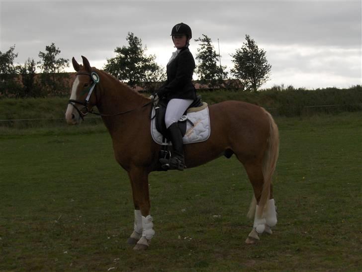 Anden særlig race Cabbano Sunlight*givet bort<3* - vores fine 3 plads<3 billede 5