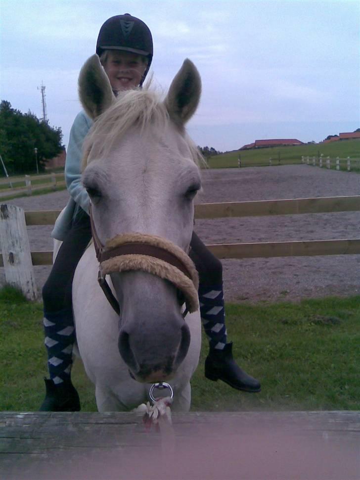 Anden særlig race Cutie Girl - Plads tiil hygge ska´ der jo oss være :D billede 13