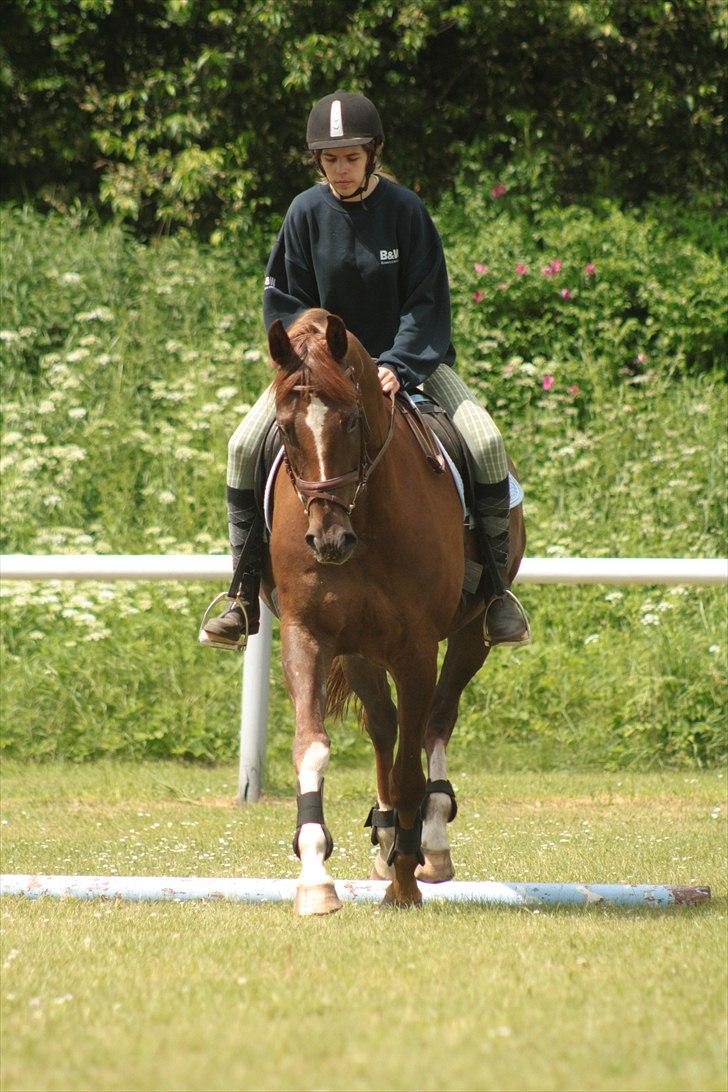 Hannoveraner Donner-Surprise <3 SAVNET - Lukker øjnene |-D billede 10
