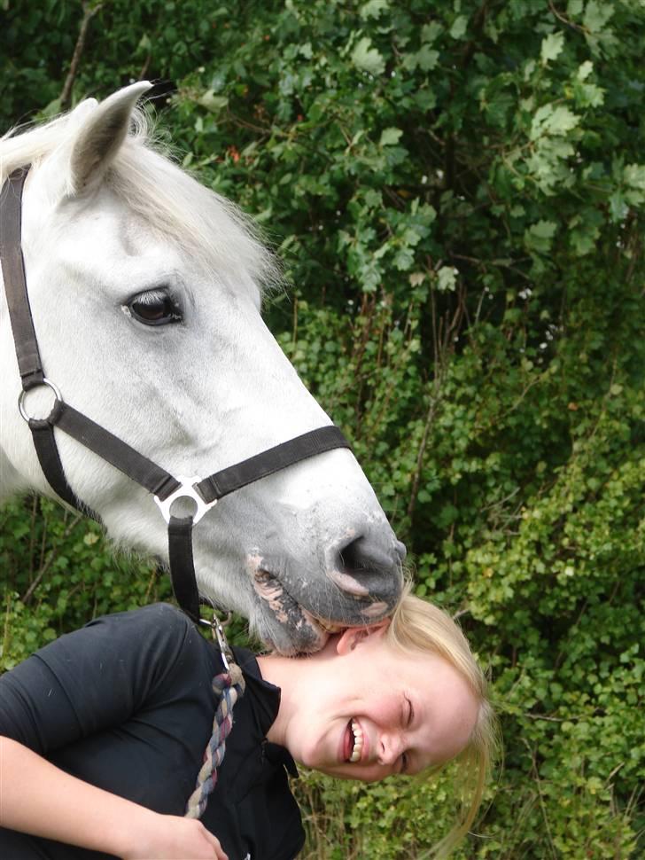 Anden særlig race Speedy Gonzales SOLGT! billede 10