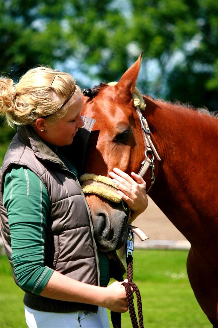 Tysk Sportspony Gladstone (Sten) - Min bedste ven <3 billede 1